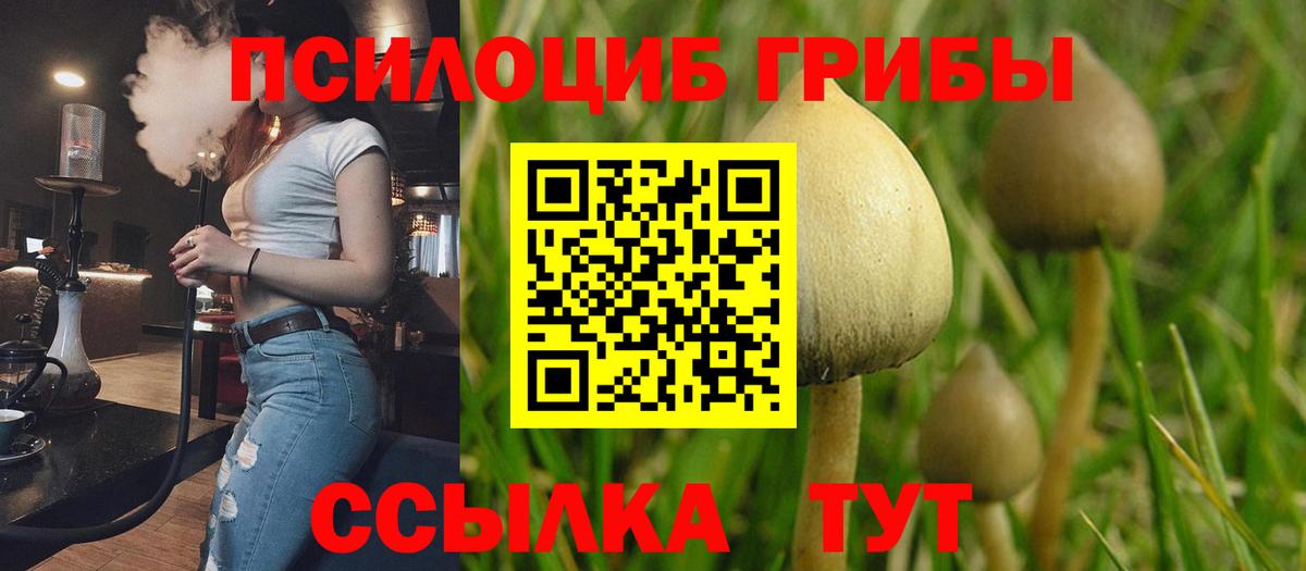 Бийск  Галлюциногенные грибы MAGIC MUSHROOMS  купить закладку  Вход с VPN 