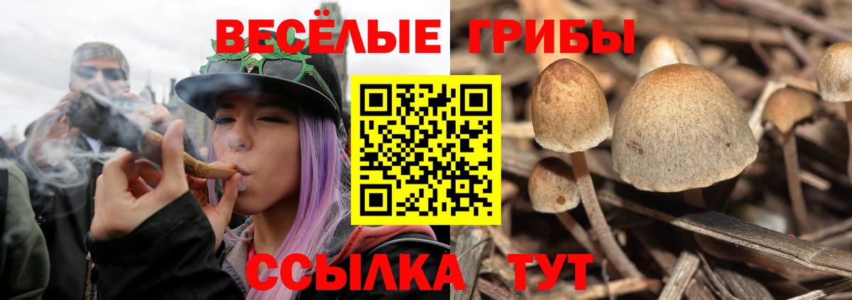 Псилоцибиновые грибы мухоморы Бийск